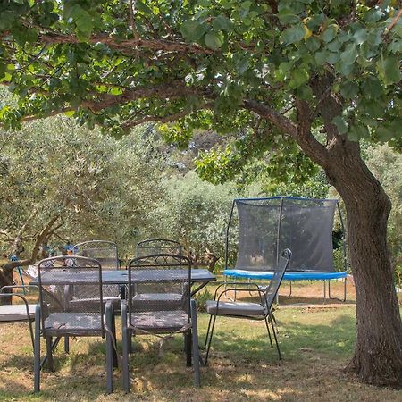 Apartman Olea Pola Esterno foto