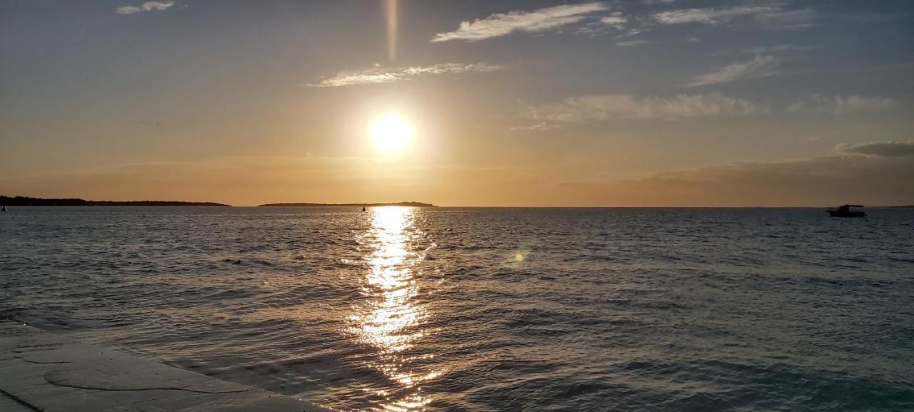 Apartman Olea Pola Esterno foto